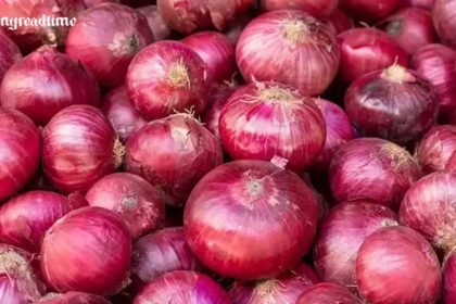 Onion Price