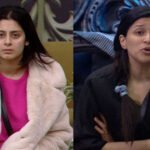 Bigg Boss 17: Isha Malviya Labels Mannara Chopra 'Inexpensive' After Torture Task